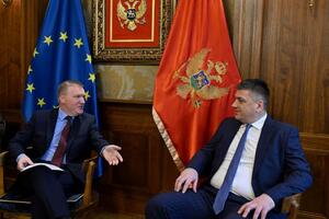 Mekgrat: EU će nastaviti da pruža podršku naporima SDT-a u borbi...