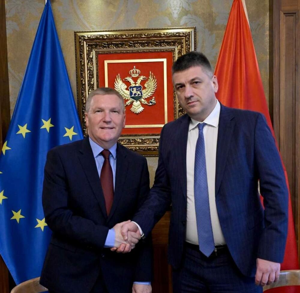 Majkl Mekgrat, Vladimir Novović