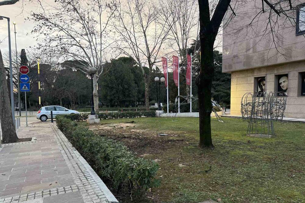 Foto: Nikola Saveljić