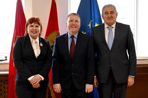 Mekgrat: Vrhovni sud i Sudski savjet ključne institucije za...