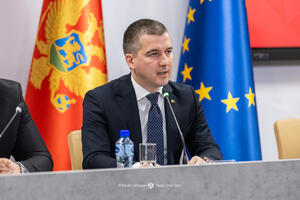 Bečić: Kad se država uspravi, najglasniji postanu oni kojima je...