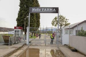 Đonović: Opština Danilovgrad koči rješavanje problema neprijatnih...