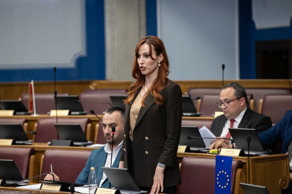 Vojinović, Foto: Demokratska Crna Gora