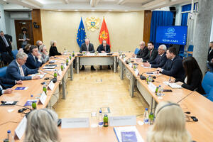 Mandić: Skupština će do kraja godine biti u gotovo stalnom...