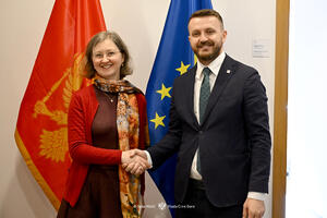 Dukaj i Mičalkova Sutiakova: Sajber bezbjednost i reformski...