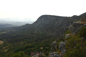 Za modernizaciju sektora šuma 18 miliona: Vlada pregovara sa...