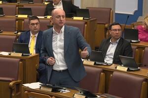 Knežević: Umjesto da SPO uhapsi Spajića, hapsi Vesnu Bratić