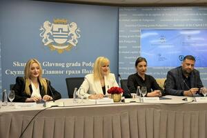 Jakšić Stojanović: Digitalno nasilje jedan od najvećih problema...