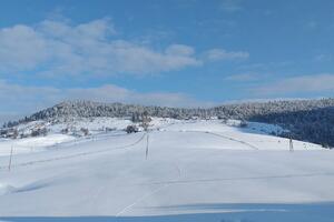 Bakar i barit će vaditi u Pljevljima?