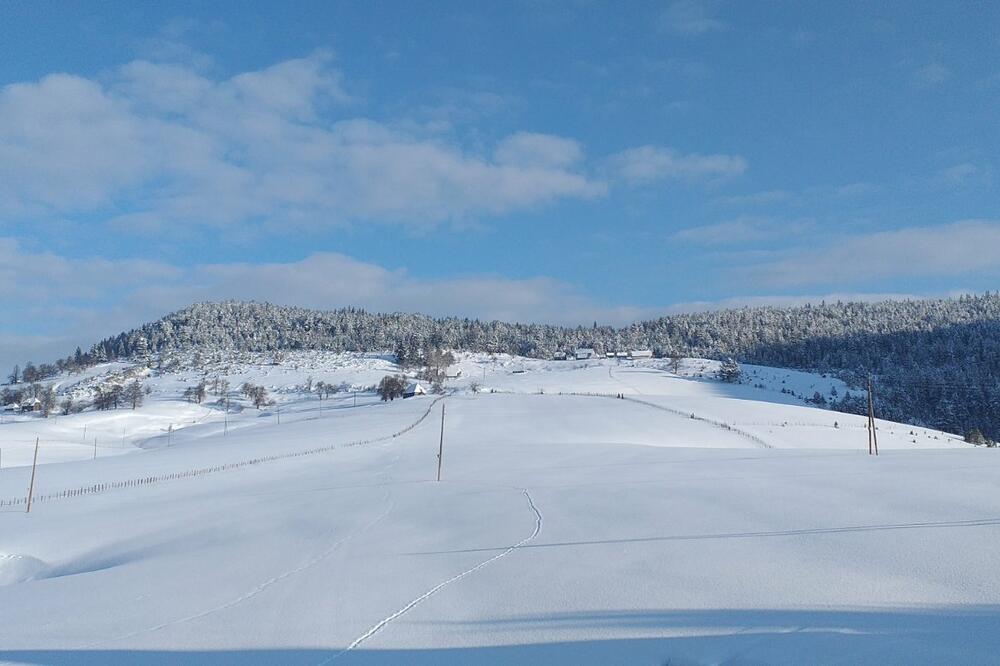 Kosanica: Visoravan na 1.200 metara nadmorske visine, Foto: Goran Malidžan