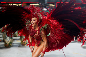 Karneval u Riju u 102 fotografije