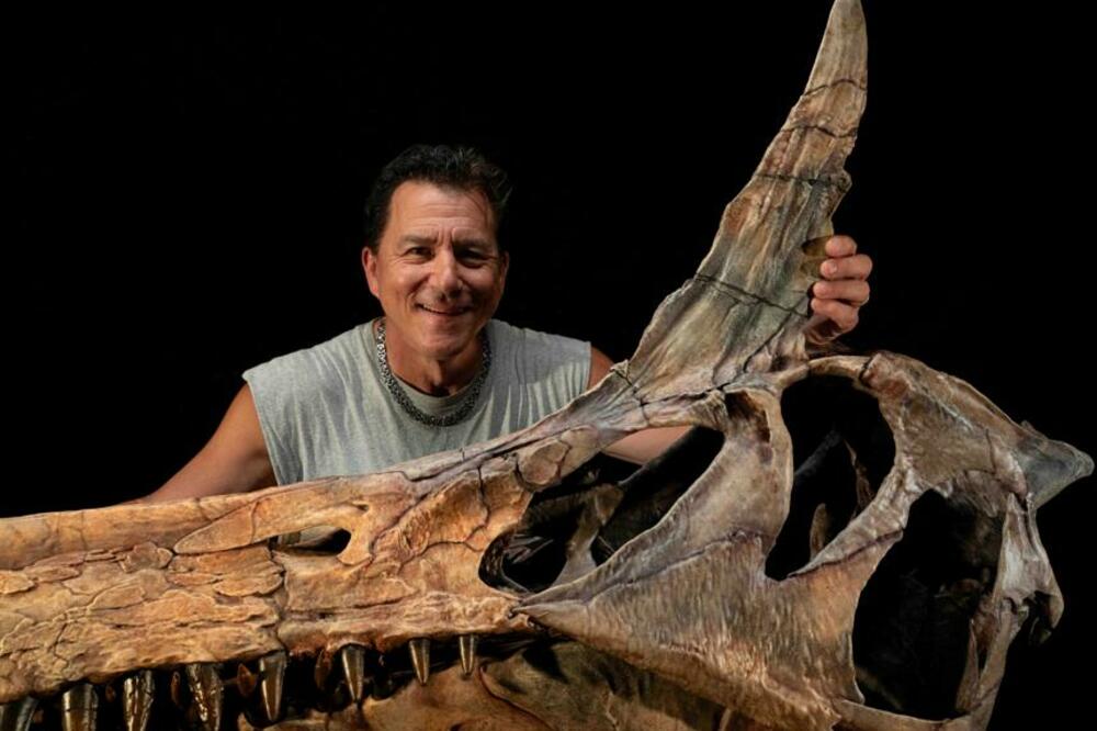 Paleontolog Pol Sereno pozira pored rekonstruisane lobanje dinosaurusa Spinosaurus mirabilis, Foto: Reuters