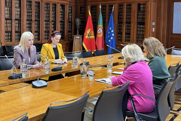 Gorčević: Članstvo Crne Gore u EU biće potvrda kredibiliteta...