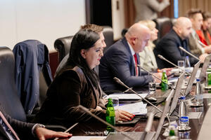 Nišić: Pravimo važan korak ka stvaranju sigurnijeg i zdravijeg...