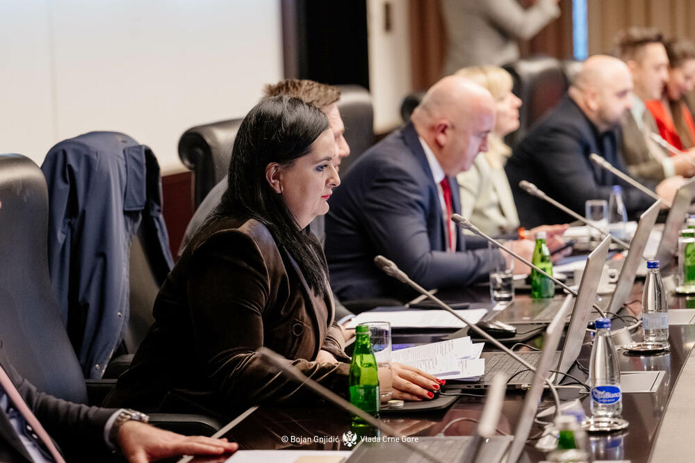 Ministarka Nišić na jučerašnjoj sjednici, Foto: Bojan Gnjidić/Vlada Crne Gore