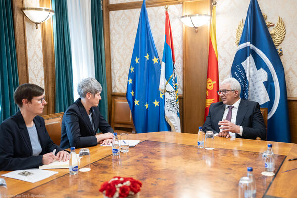 Mandić - Paniklova: Partnerstvo Skupštine i UNDP-a strateški važno...