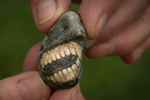 'Nasmijani' fosil slučajno pronađen u Velikoj Britaniji