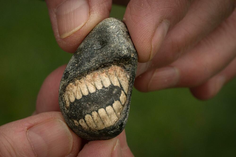 Foto: Tony Jolliffe/BBC