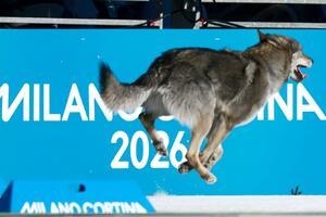 Čudne i divne priče sa Zimskih olimpijskih igara