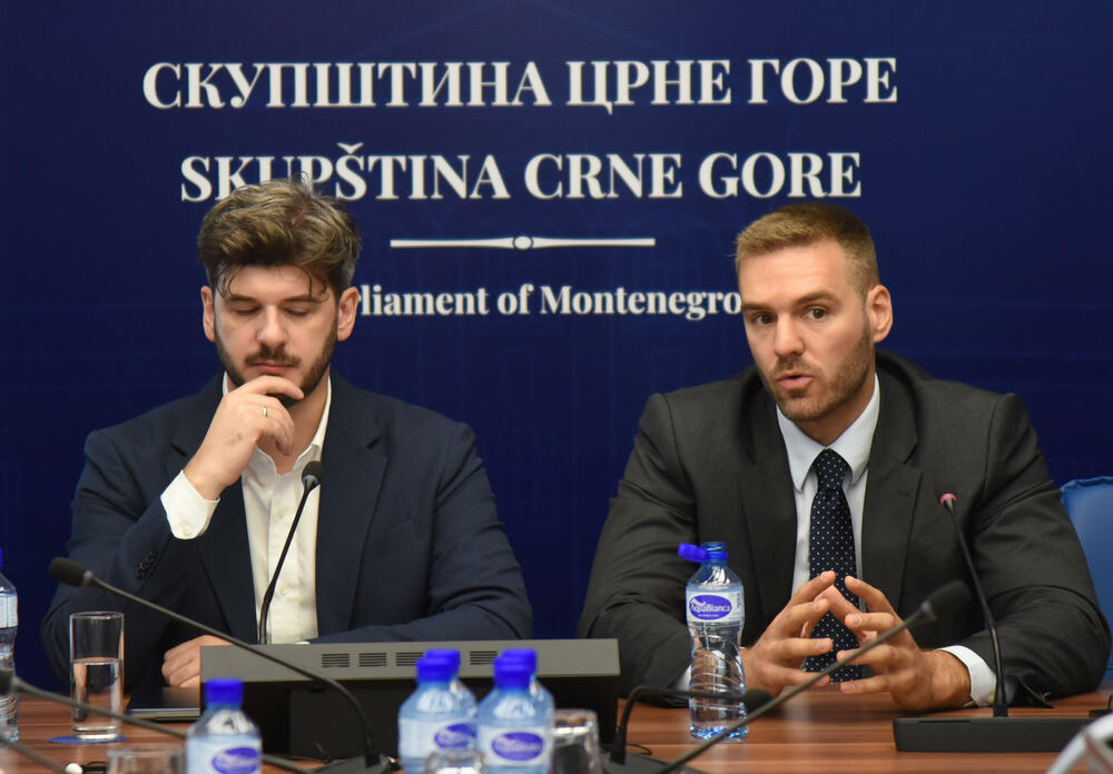 Predložili da rad odbora bude produžen do juna ove godine: Čarapić i Rakočević