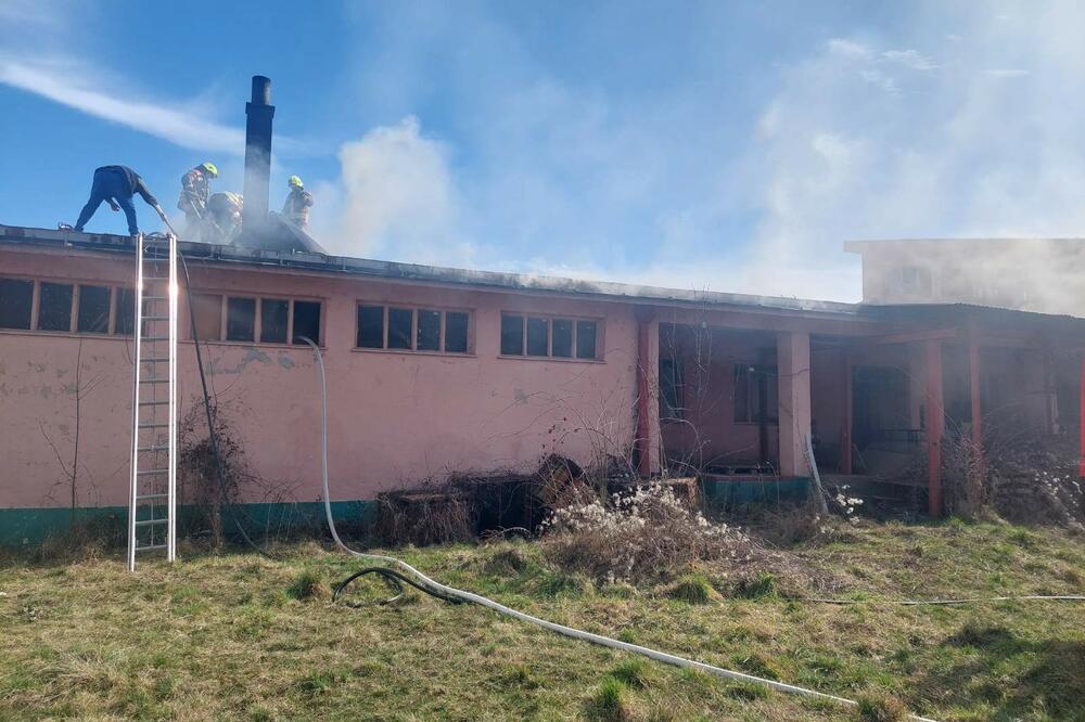 Foto: Jadranka Ćetković