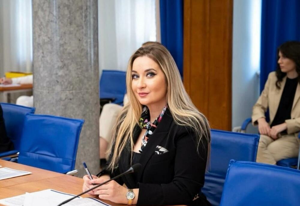 Vučelić o neimenovanju direktora ASK: Dodatno usporavanje na...