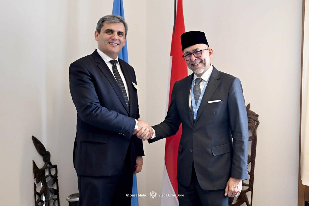 <p>Ibrahimović je, kako je saopšteno iz Ministarstva vanjskih poslova (MVP), učestvovao na Segmentu na visokom nivou 61. sesije Savjeta za ljudska prava Ujedinjenih nacija u Ženevi</p>