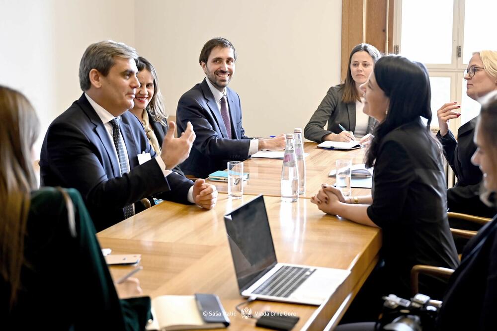 <p>Ibrahimović je, kako je saopšteno iz Ministarstva vanjskih poslova (MVP), učestvovao na Segmentu na visokom nivou 61. sesije Savjeta za ljudska prava Ujedinjenih nacija u Ženevi</p>