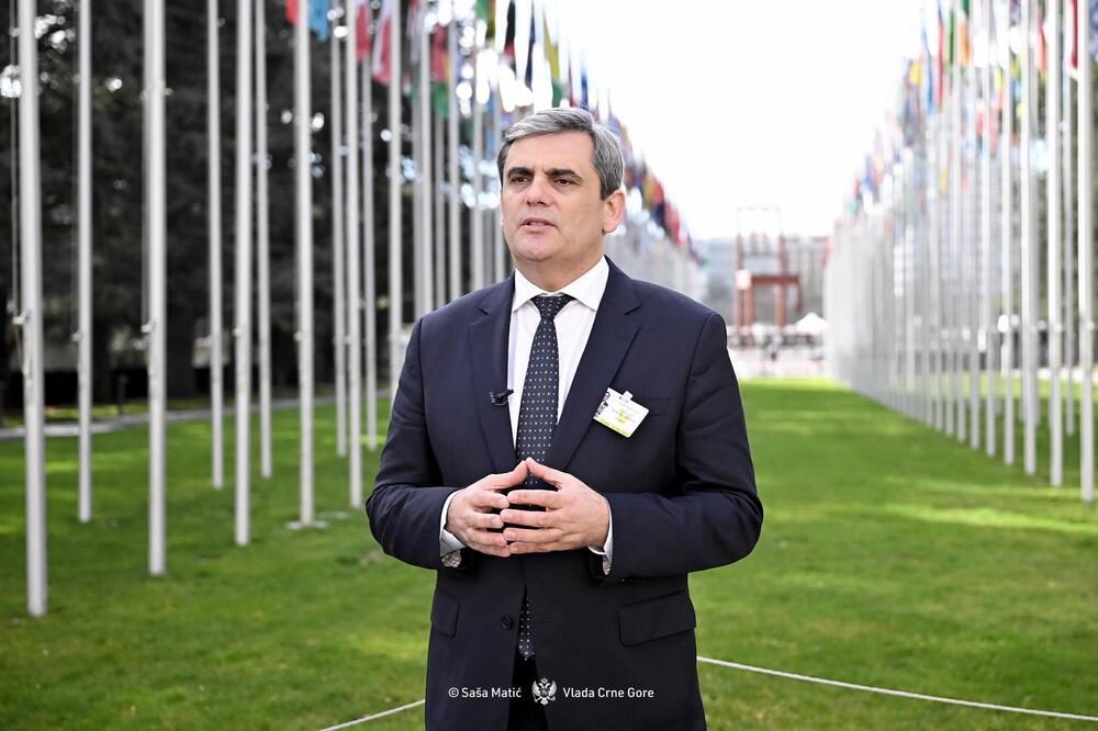 Ibrahimović, Foto: MVP