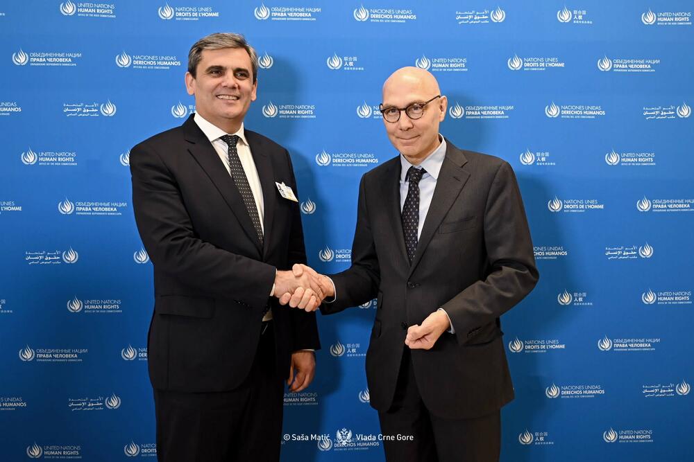 <p>Ibrahimović je, kako je saopšteno iz Ministarstva vanjskih poslova (MVP), učestvovao na Segmentu na visokom nivou 61. sesije Savjeta za ljudska prava Ujedinjenih nacija u Ženevi</p>