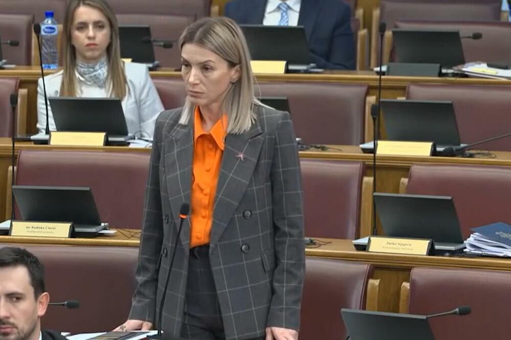 Strujić Harbić, Foto: Screenshot/TV Vijesti