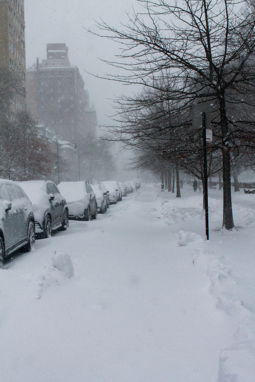 <p>Oluja je udarila na prostrana urbana područja američkog sjeveroistoka, samo što se snijeg od prethodnih padavina otopio</p>