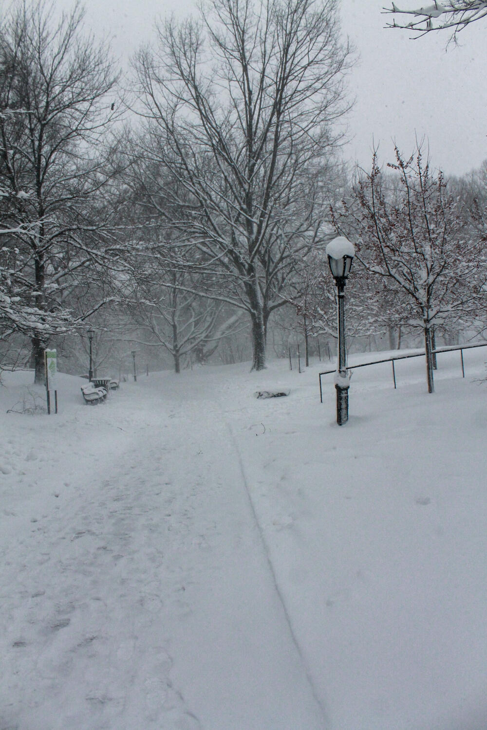 <p>Oluja je udarila na prostrana urbana područja američkog sjeveroistoka, samo što se snijeg od prethodnih padavina otopio</p>