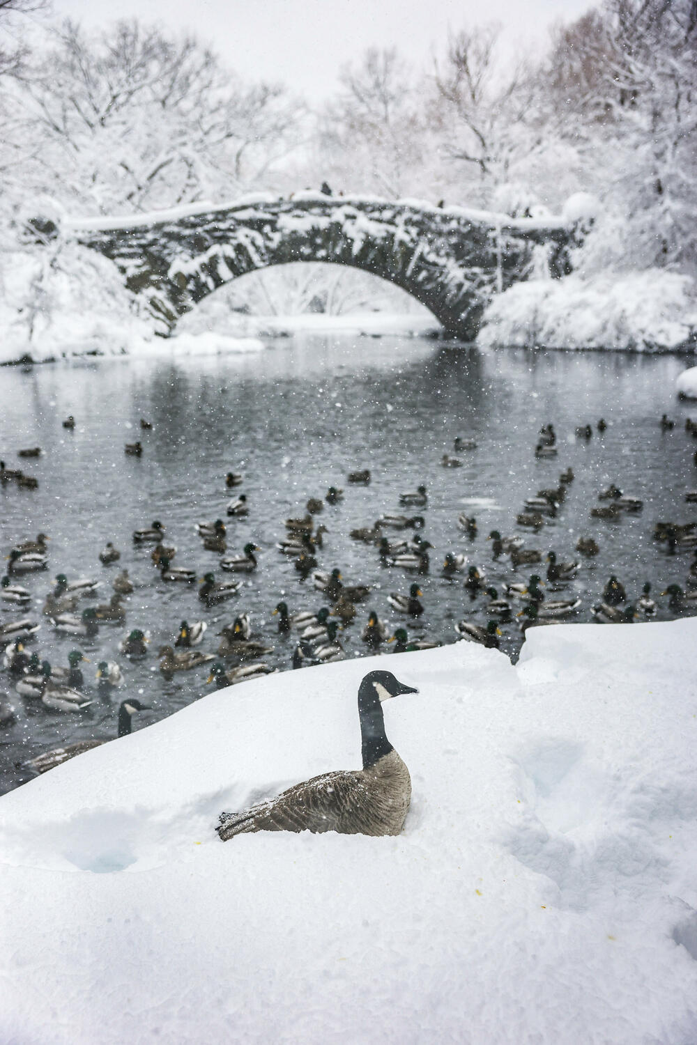 <p>Oluja je udarila na prostrana urbana područja američkog sjeveroistoka, samo što se snijeg od prethodnih padavina otopio</p>