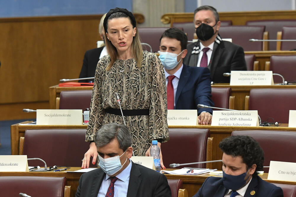 Da li je građanska država mrtvo slovo na papiru: Strujić Harbić u parlamentu, Foto: Savo Prelević