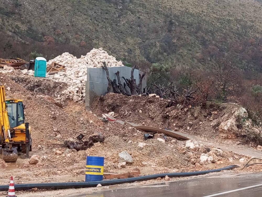 Apetiti investitora uništili masline