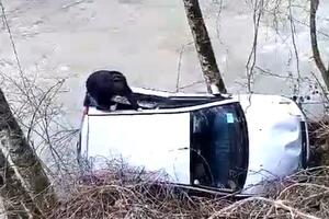 Bijelo Polje: Spasio muškarca koji je sletio u rijeku Ljuboviđu