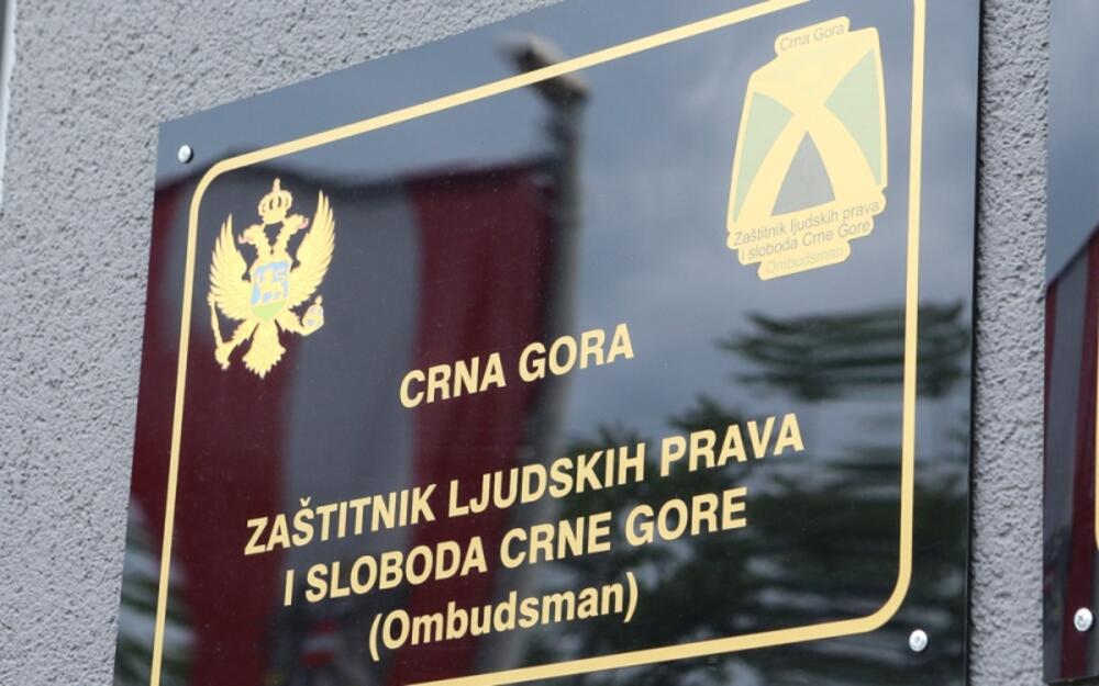 Zaštitnik ljudskih prava i sloboda, Ombudsman