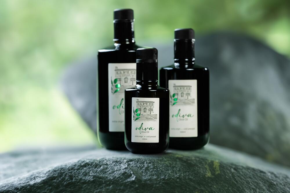 Foto: Privredna komora Crne Gore