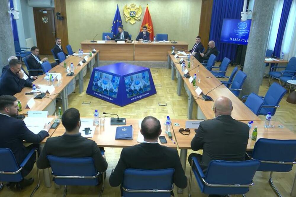 Detalj sa sjednice, Foto: Printscreen YouTube