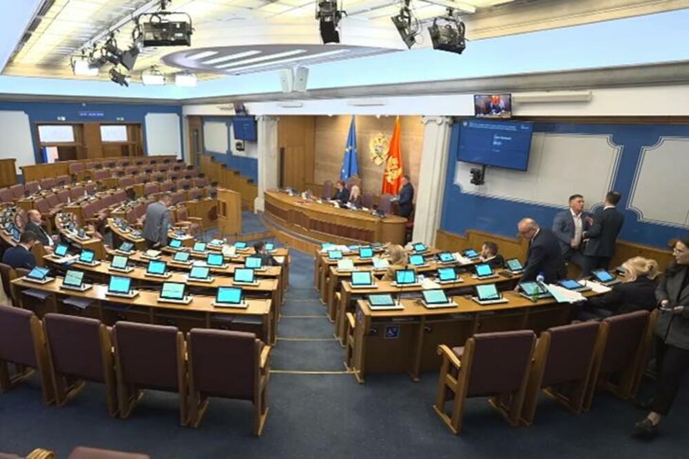 Sjednica Skupštine, Foto: Printscreen YouTube