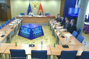 Vujačić jedina kandidatkinja za članicu SAMU