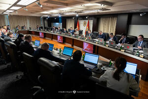 Ivana Radović v.d. sekretarka Ministarstva pomorstva, Petar...