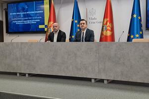 Vuković: Za profesionalizaciju uprave godinu, privatizacija firmi...