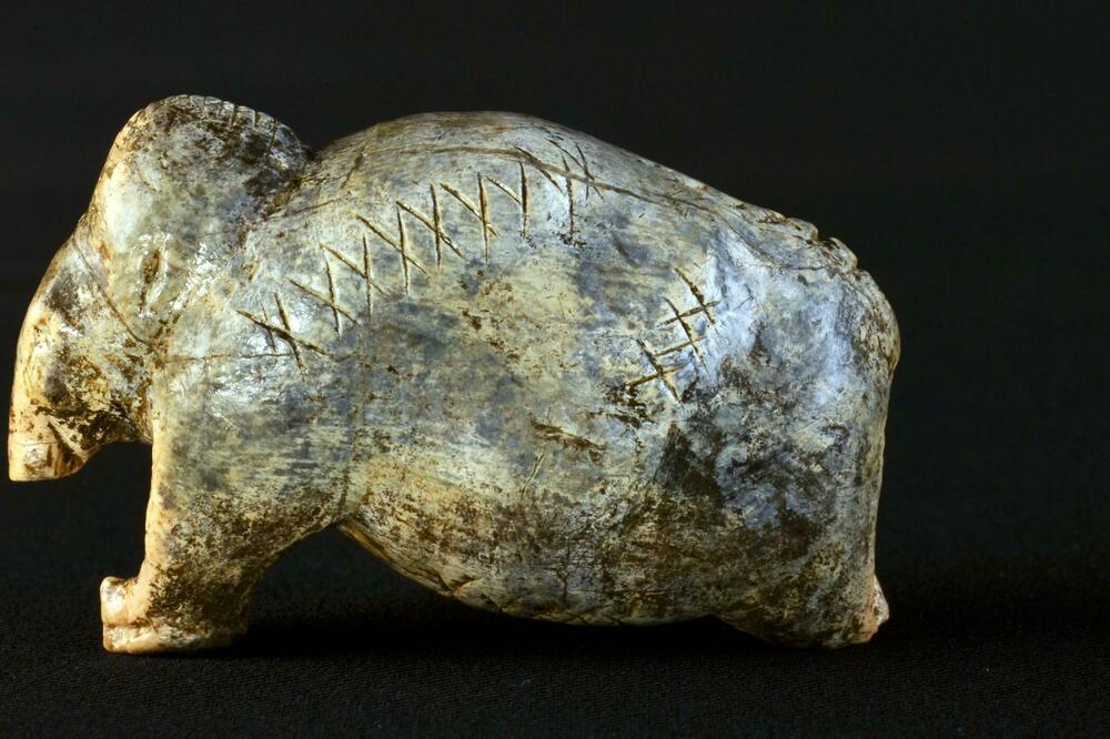 Foto: University of T&uuml;bingen / Hildegard Jensen