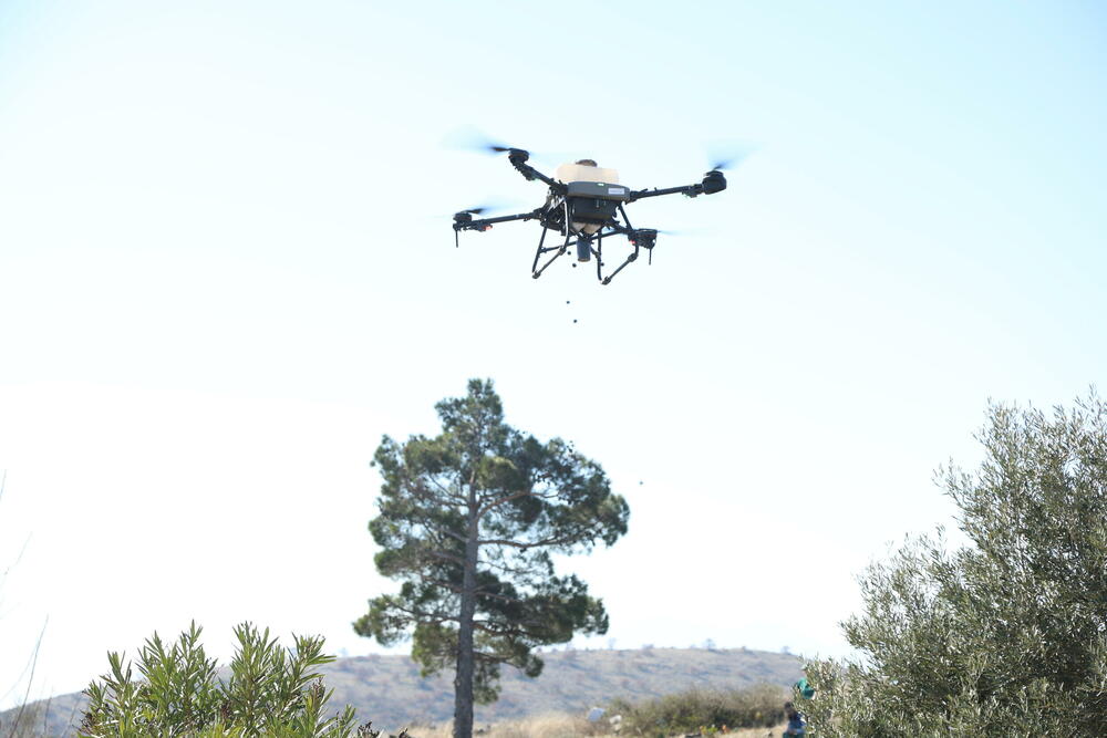 pošumljavanje dronom