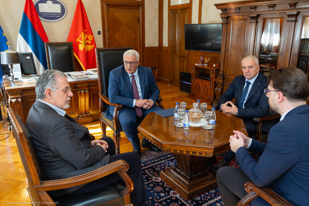 Foto: Skupština Crne Gore/F.Burzanović