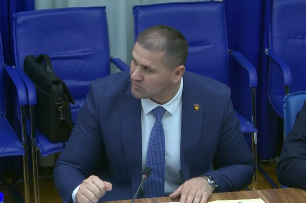 Foto: Skupština Crne Gore/Youtube