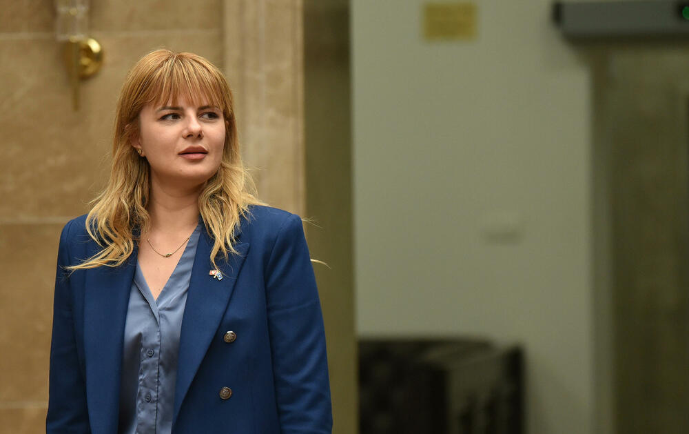 <p>Šef parlamenta Andrija Mandić novinarima u holu Skupštine je rekao da će plenarne sjednice biti</p>