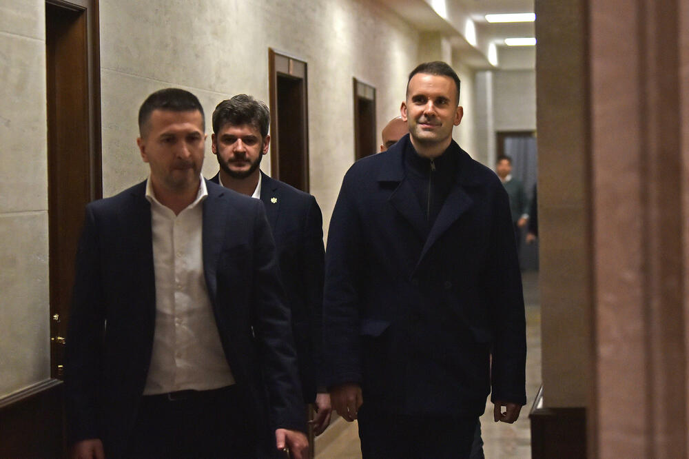 Spajić u parlamentu s poslanicima PES-a, Foto: Boris Pejović